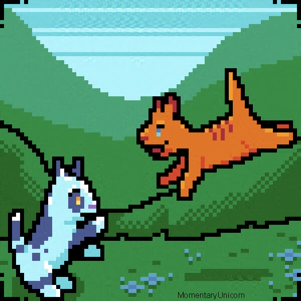 Cats Playing Outside