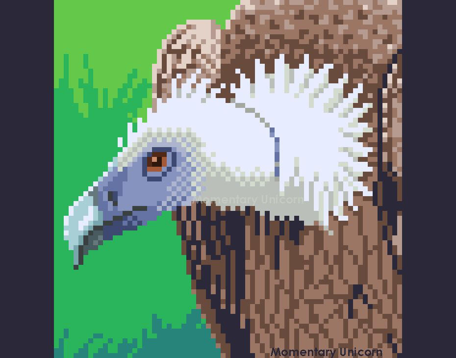 Vulture
