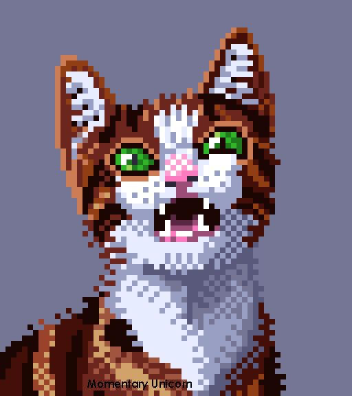 Sneezing Cat