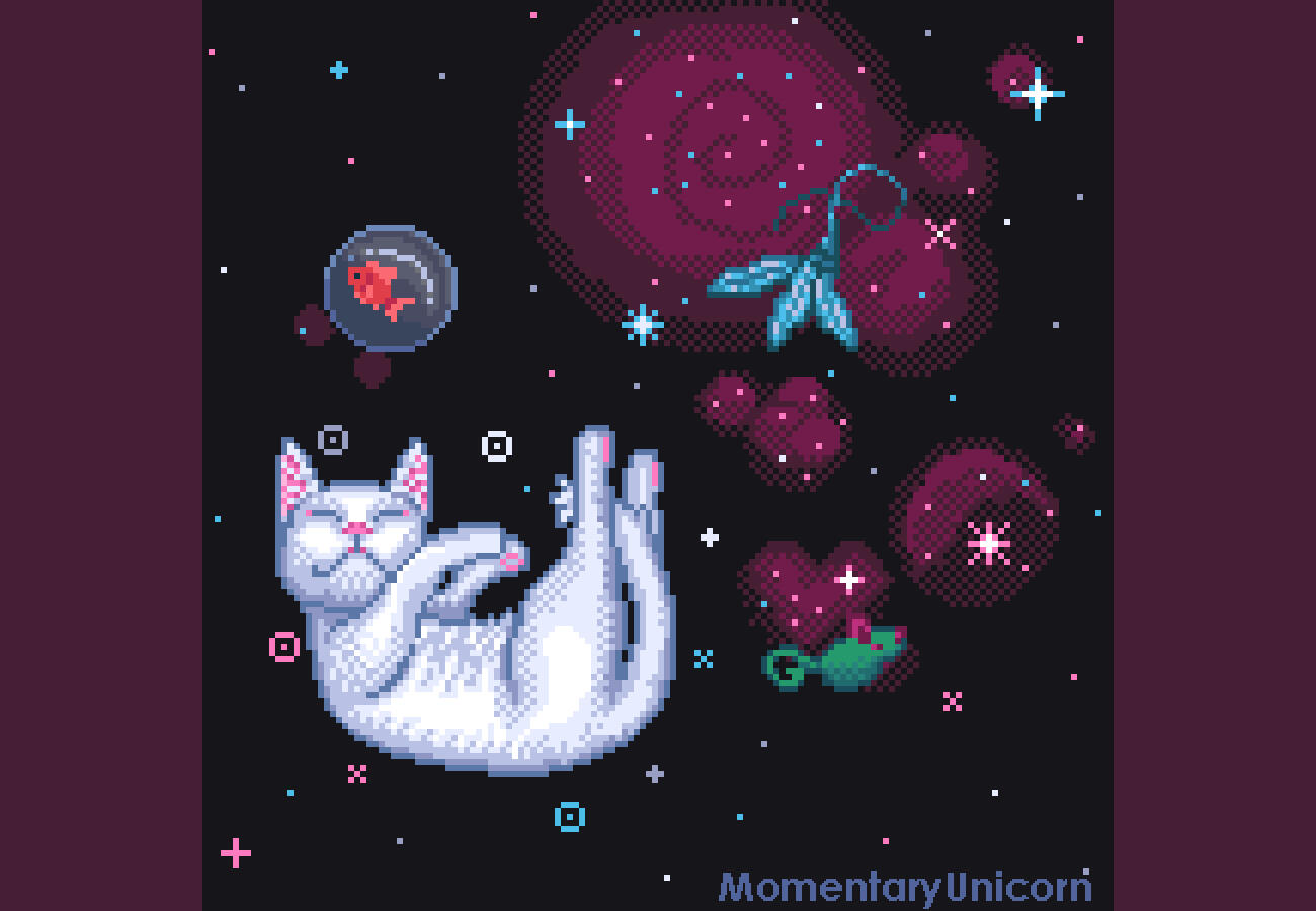 Sleepy Cat In Space